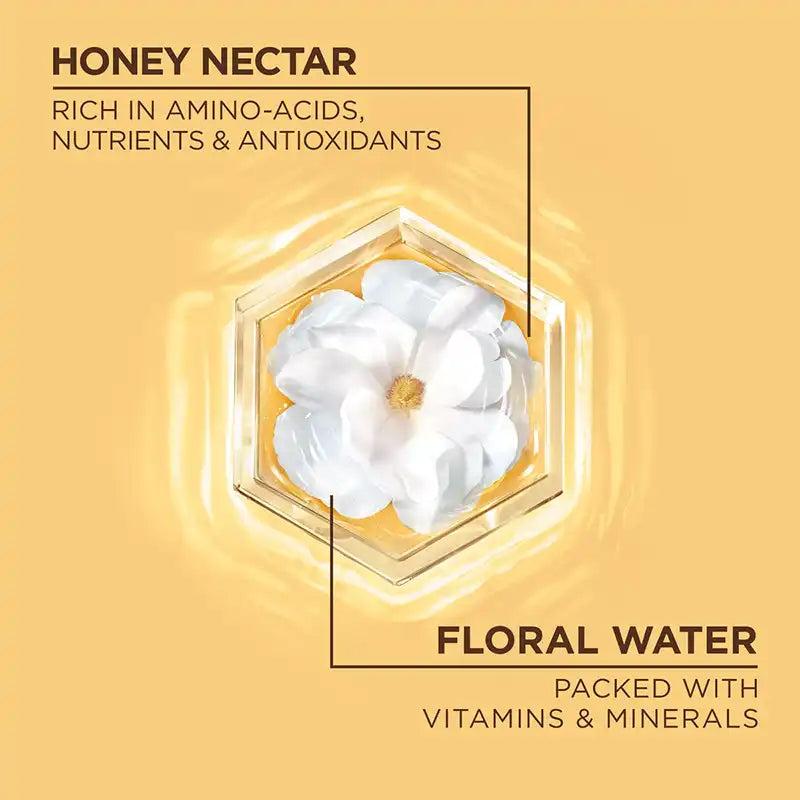 Garnier Whole Blends Honey Water Moisture Restoring Conditioner 370ml